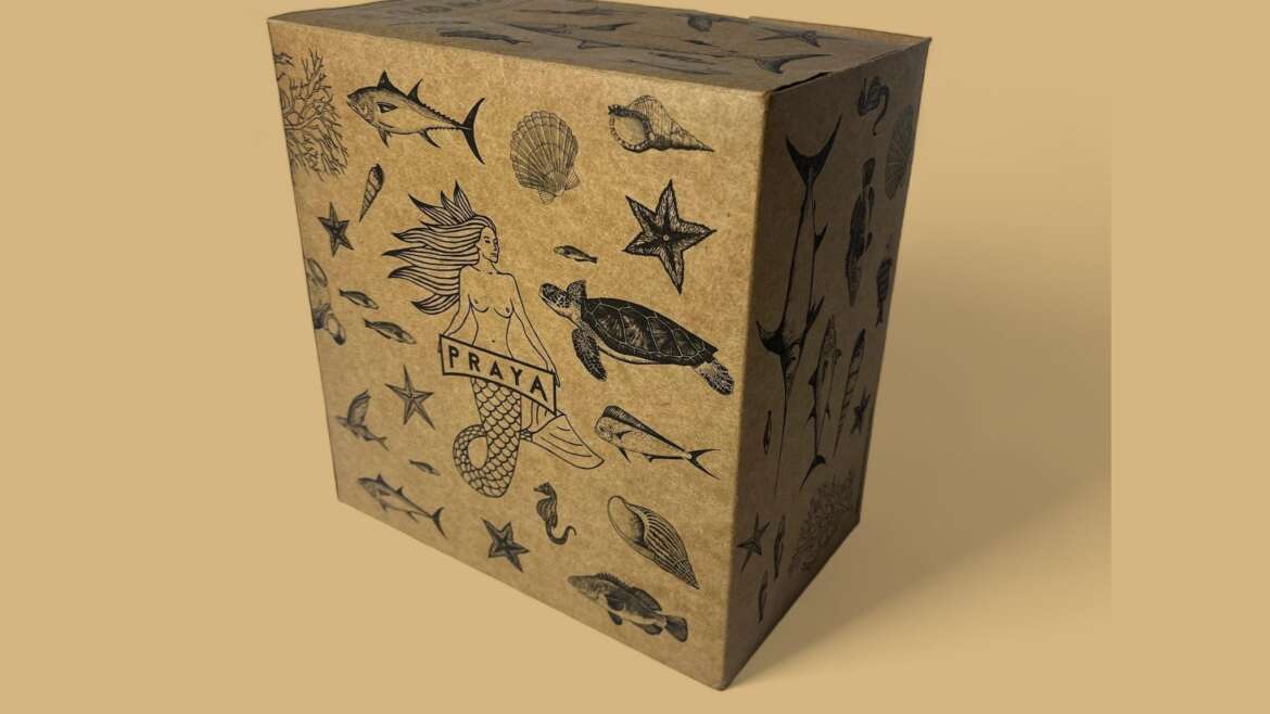 Embalagem para delivery: o que você precisa para começar seu negócio